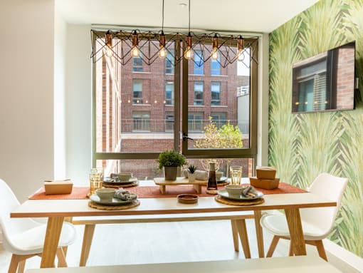A dining table with chairs and a potted plant is set for a meal.