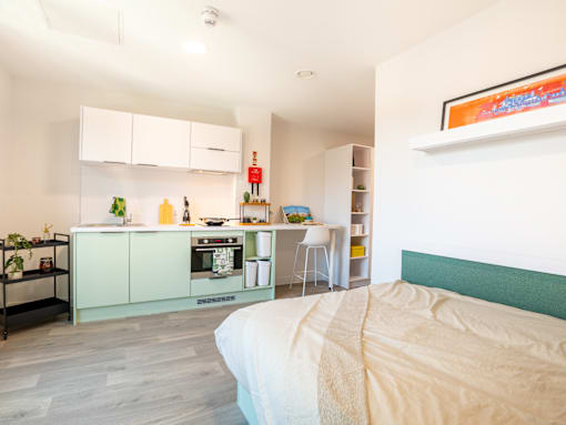 A bedroom with a bed, a kitchenette, and a painting on the wall.