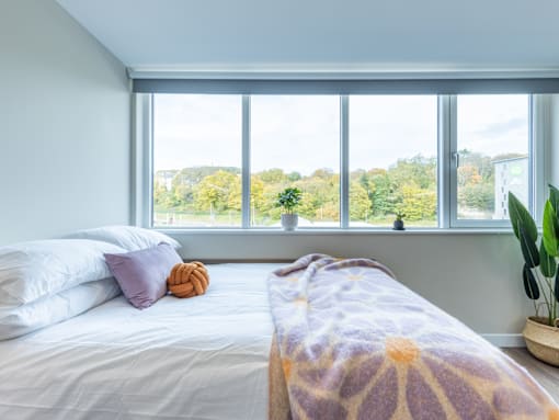 A bedroom with a large bed and a view of trees outside the window.