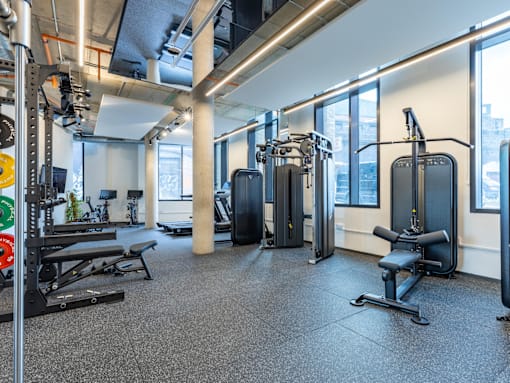 A gym with a variety of equipment including a squat rack, bench, and weights.