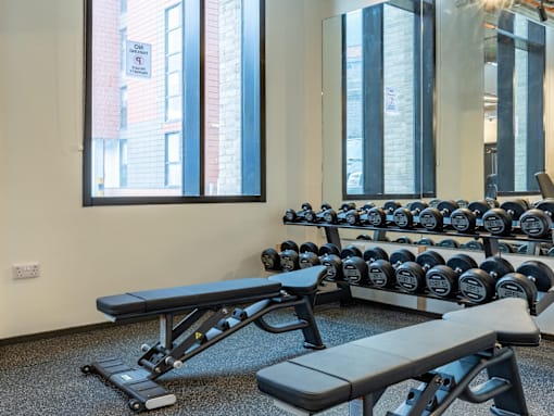 A gym with a row of dumbbells and a bench.