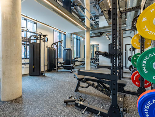 A gym with a squat rack, dumbbells, and weight plates.