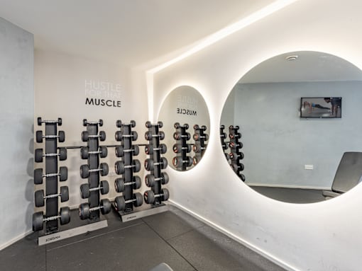A gym with a row of dumbbells and a mirror.