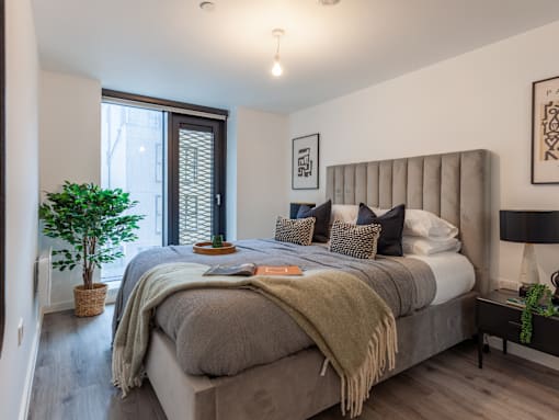Room with a large bed and plant.
