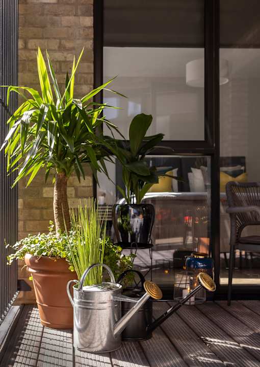 a patio with plants and watering cans on it