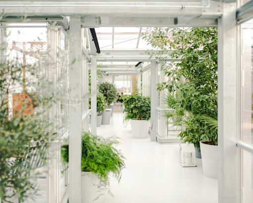 a greenhouse filled with potted plants and glass doors