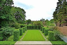 a grassy area with a row of hedges and a sidewalk