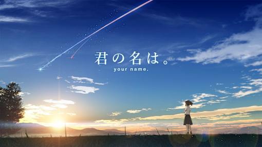 A girl is flying a kite in a field at sunset.