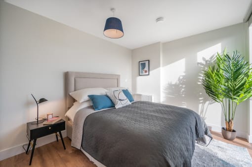 a bedroom with a large bed and a potted plant