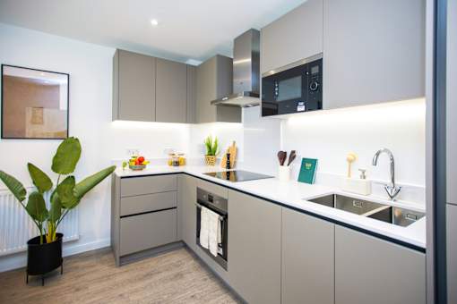 A modern kitchen with a sink, stove, and a potted plant.