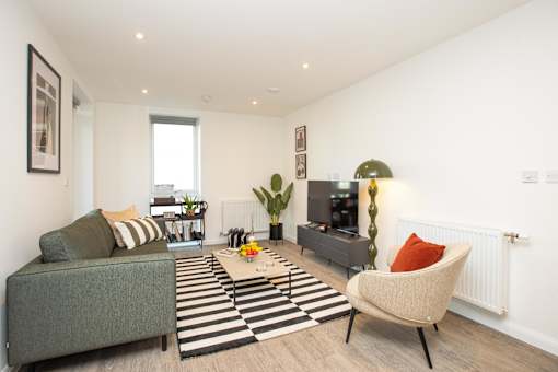 A living room with a grey couch, a striped rug, and a green plant.