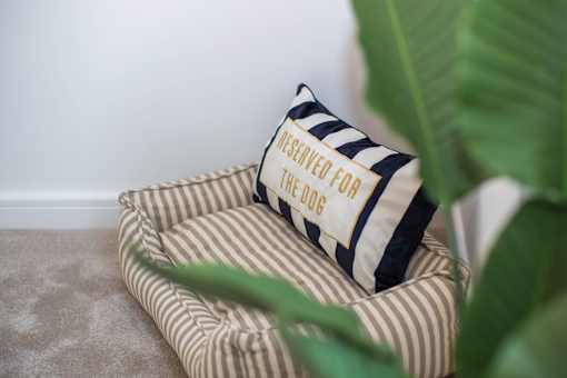 A striped pillow with a clapperboard on it that says "PRESERVED FOR THE 2006".