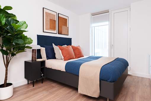 A bedroom with a bed, pillows, a blanket, and a potted plant.
