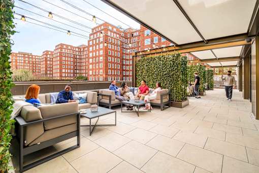 A group of people are sitting on a patio with a green hedge in the background.
