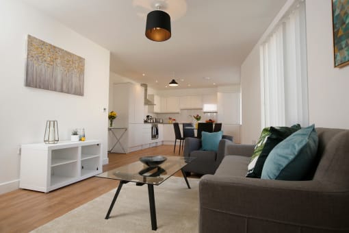 Living Area and Kitchen