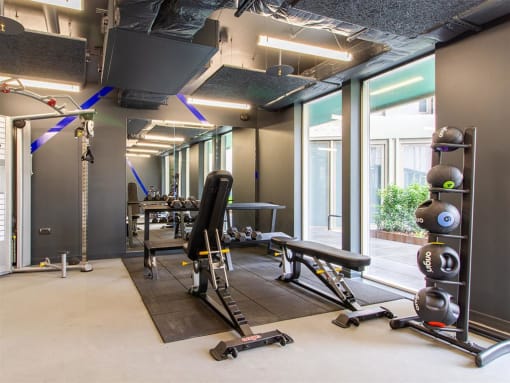 Benedict's Gate, Norwich - Gym, 3