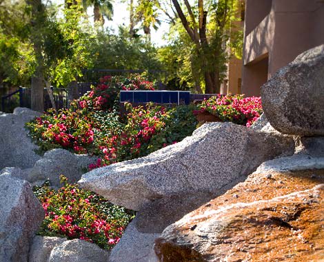 a rock garden with rocks and colorful flowers