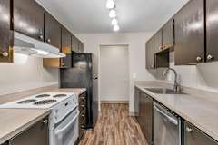 A kitchen with a stove top oven and a dishwasher.