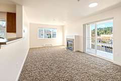 A spacious living room with a carpeted floor and a view of the outdoors through a sliding glass door.