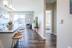 Open layout with view of living room from kitchen at Ascend at Woodbury new luxury apartments in Woodbury MN 55129