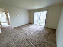 A living room with a carpeted floor and a window with blinds.
