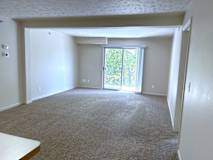 A large, empty room with a carpeted floor and a sliding glass door leading to a balcony.