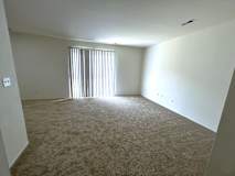 A living room with a carpeted floor and a window with blinds.