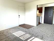 A living room with vinyl plank entry..