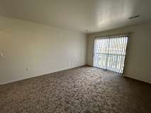 A living room with a carpeted floor and a window with blinds.