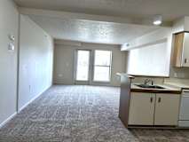 Open living room with patio door and kitchenette at Heatherwood Apartments, Grand Blanc
