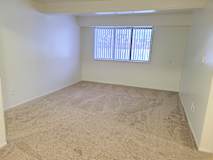 A living room with a carpeted floor and a window with blinds.