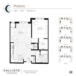 Callisto Commons-Polaris Floor Plan