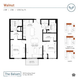 The Balsam on Broadway-Walnut Floor Plan