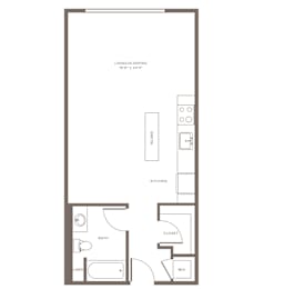 A floor plan of a small apartment with a living area, kitchen, bathroom, and closet.