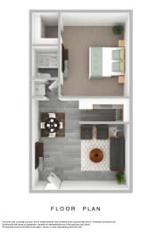 a stylized floor plan of a 1 bedroom floor plan