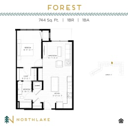 Floor Plan  Forest
