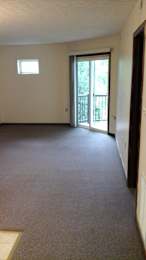 A room with a carpeted floor and a sliding glass door.