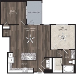 Floor Plan  a conceptual drawing of a 1 bedroom floor plan