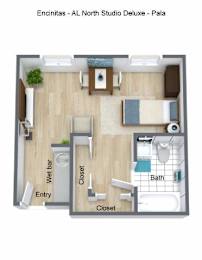 A floor plan of a studio apartment with a closet, bathroom, and living area.