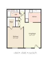 1 Bedroom 1 Bath 2D Floorplan at Jacksonville Heights Apartments