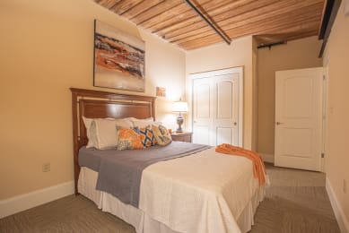  Floor Plan 1 Bed 1 Bath