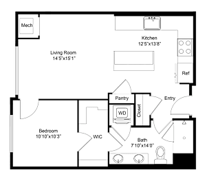 A floor plan of a house with a kitchen, living room, bedroom, bathroom, and pantry.
