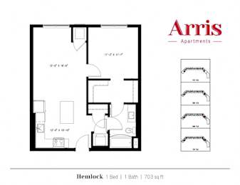 A floor plan for a 703 sq ft apartment with one bed and one bath.