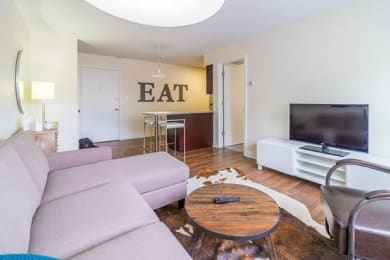  Floor Plan 1 Bed 1 Bath
