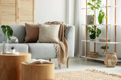 A living room with a grey couch, a wooden coffee table, and a shelf with plants.