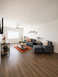 A living room with a grey couch, a black TV, and a wooden floor.