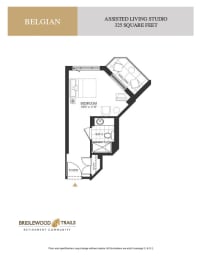 a floor plan of a bedroom apartment