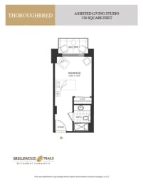a floor plan of a bedroom apartment