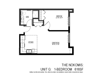 TheNokomis