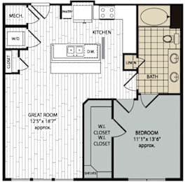 1 bed 1 bath G at Arise Riverside Apartments, Austin, Texas